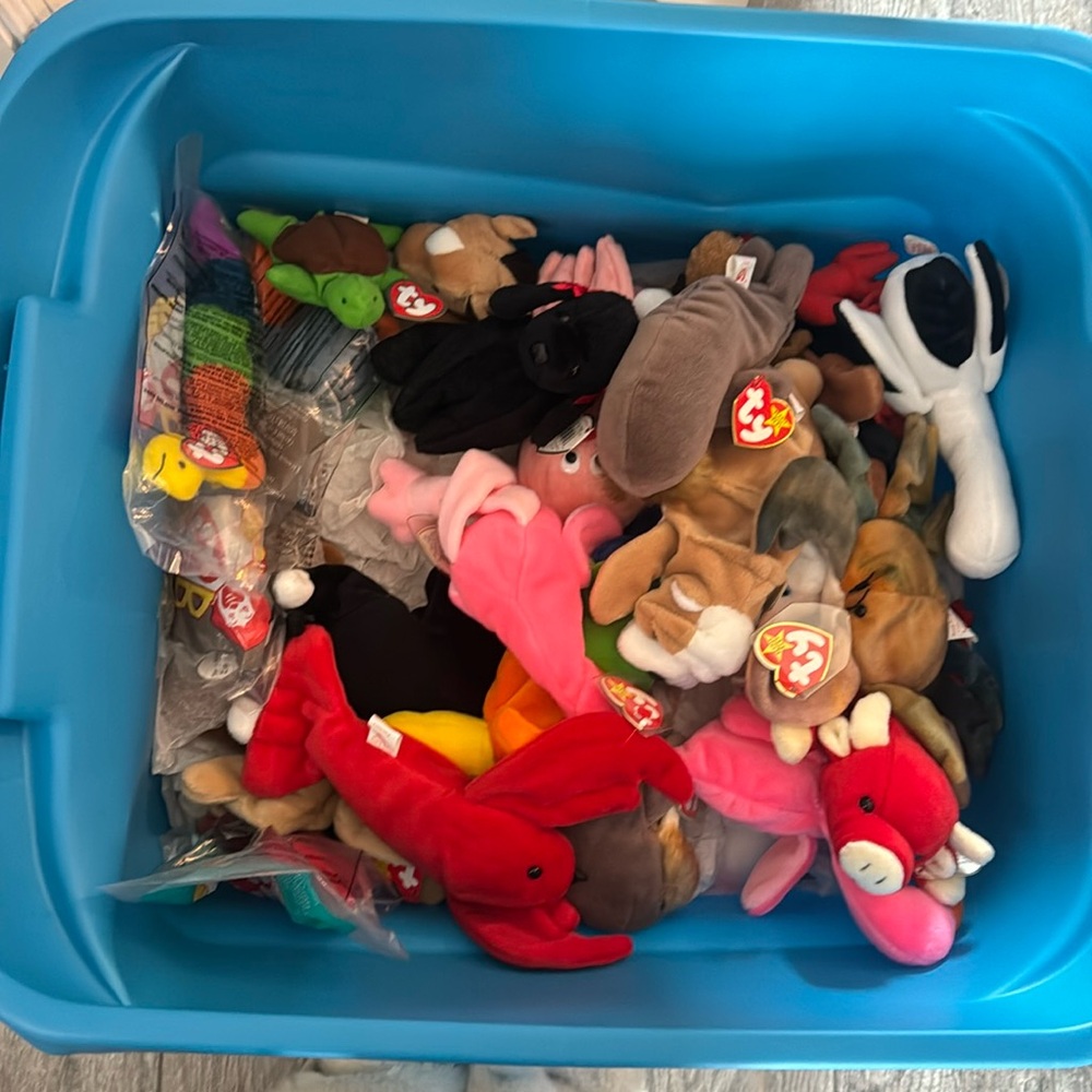50 random 1997 beanie babies